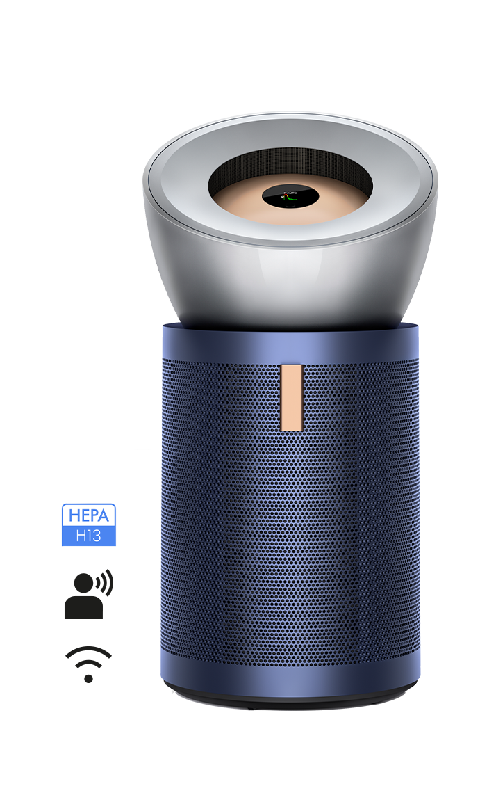 다이슨 정수기 빅+콰이어트 BP03(100m²)