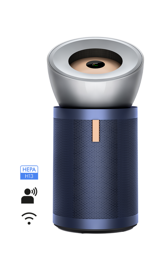 다이슨 정수기 빅+콰이어트 BP03(100m²)