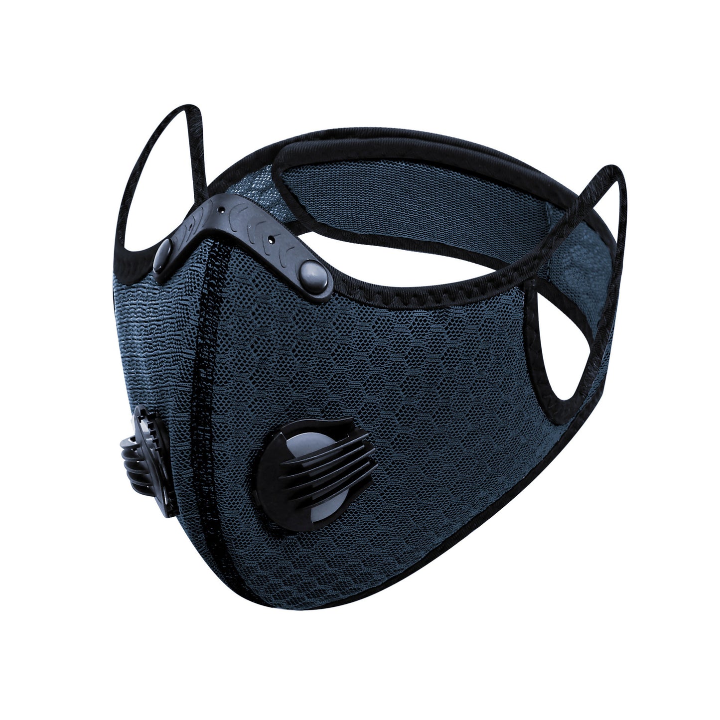 Mesh Mask + 1 filter (N95 Grade filters)