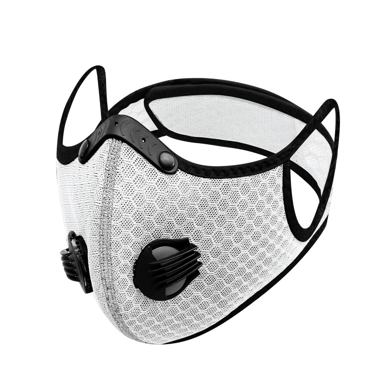 Mesh Mask + 1 filter (N95 Grade filters)