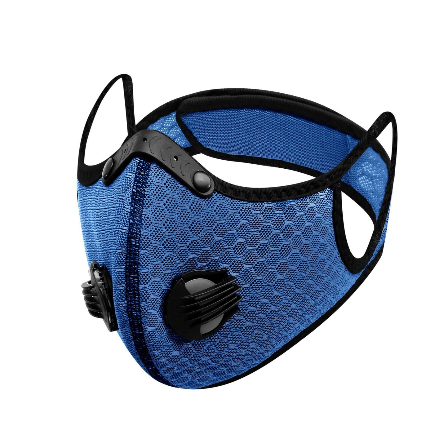 Mesh Mask + 1 filter (N95 Grade filters)