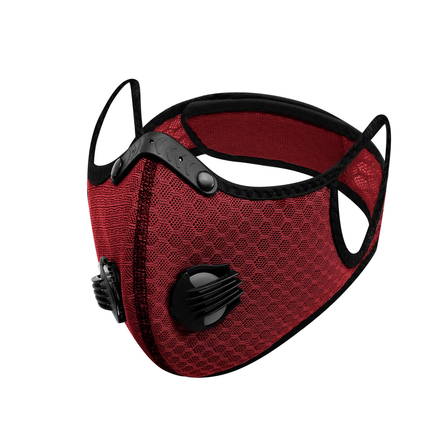 Mesh Mask + 1 filter (N95 Grade filters)