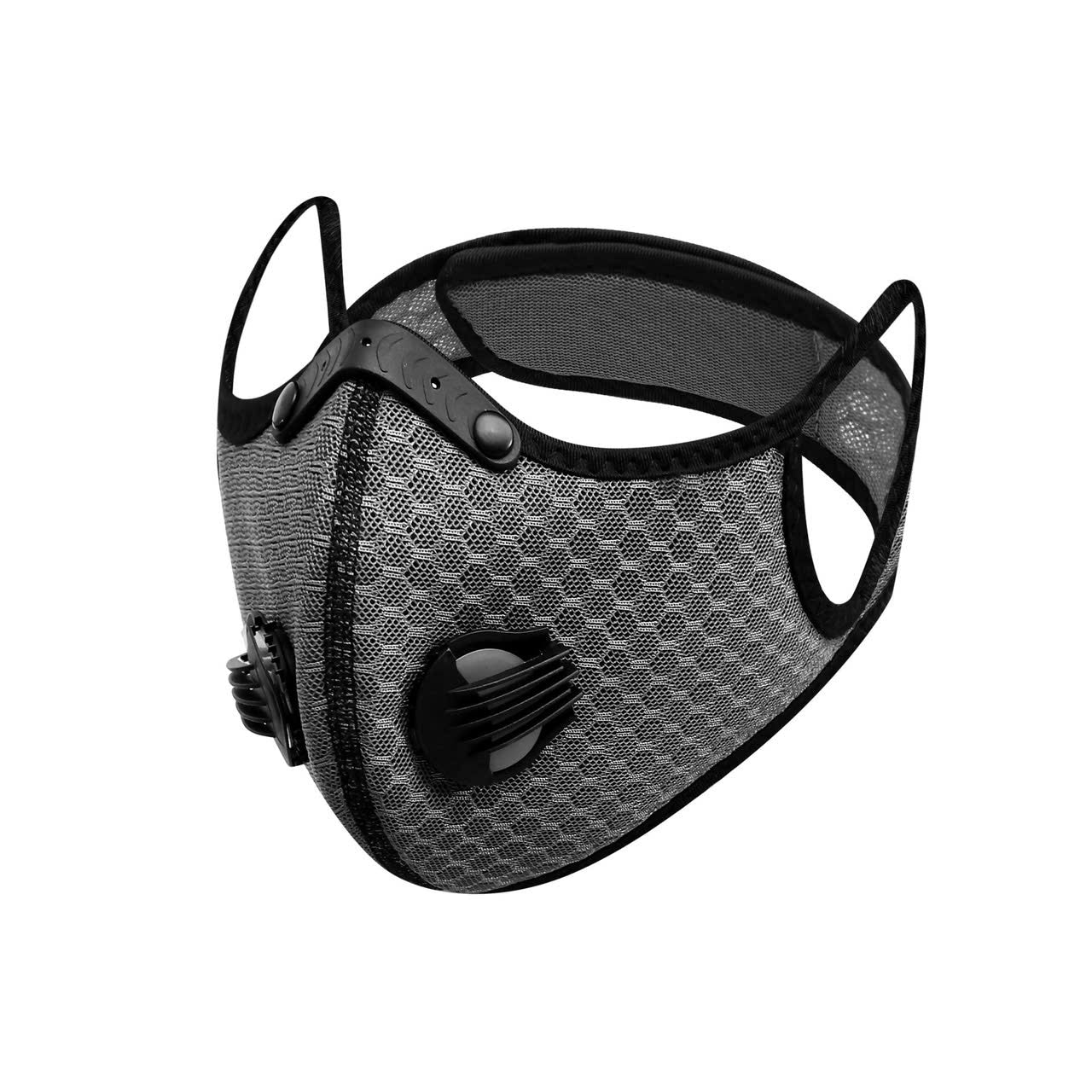 Mesh Mask + 1 filter (N95 Grade filters)